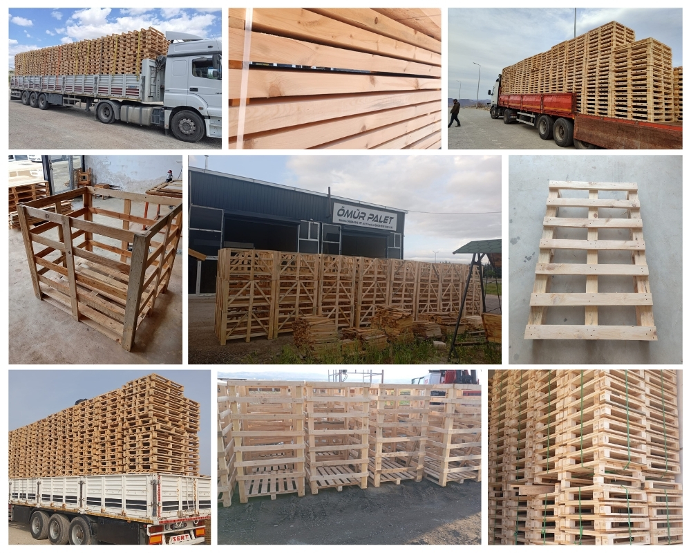 Cuneo Palette Europe, Acheter des palettes en gros